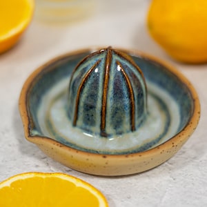 May include: A blue and brown ceramic citrus juicer with a ridged top and a white interior. The juicer is sitting on a white surface.