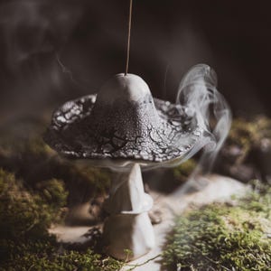 Può includere: Un porta incenso a forma di fungo in ceramica con un motivo screpolato e strutturato sul cappello. Il fumo si alza dall'incenso, creando un'atmosfera mistica. Il supporto è bianco con accenti grigi, su uno sfondo muschioso.
