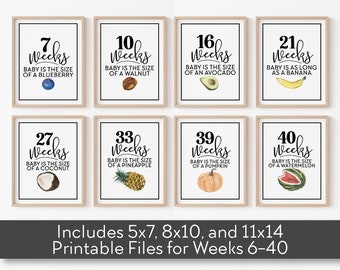 Weekly Pregnancy Signs Printable - Baby Size Week by Week - Weekly Pregnancy Photo Prop - Pregnancy Sign for Week - Baby is the Size of Sign
