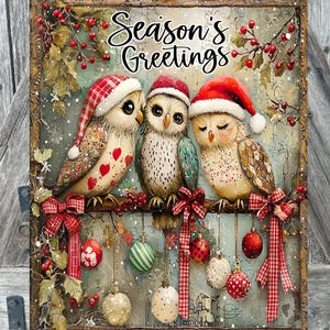 May include: Three owls wearing Santa hats are perched on a branch with red and white gingham ribbon bows.  The owls are surrounded by red and green Christmas ornaments hanging from the branch.  The text "Season's Greetings" is at the top of the image.