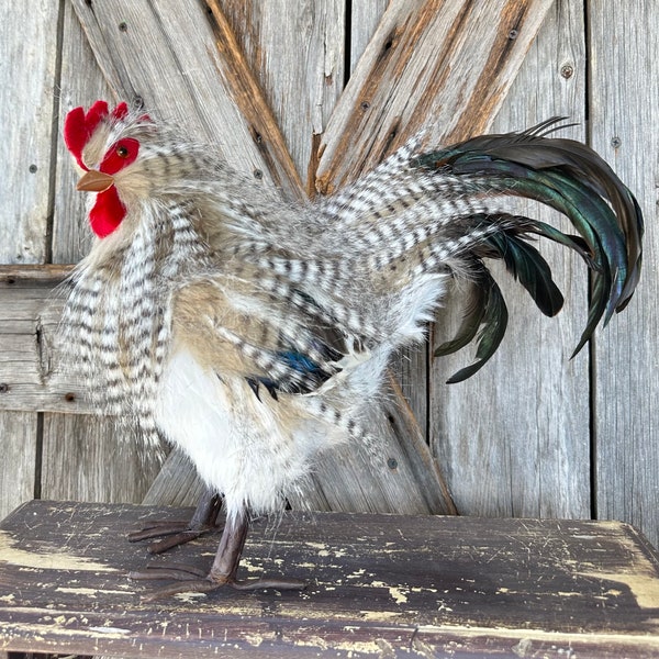 Feathered Rooster 14 Inches