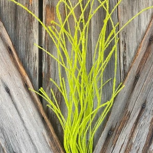 May include: A bundle of bright lime green, fuzzy, thin, and flexible decorative branches. The stems are long, slender, and covered in a soft, textured material that gives them a vibrant, neon-like appearance. The branches fan out upwards.