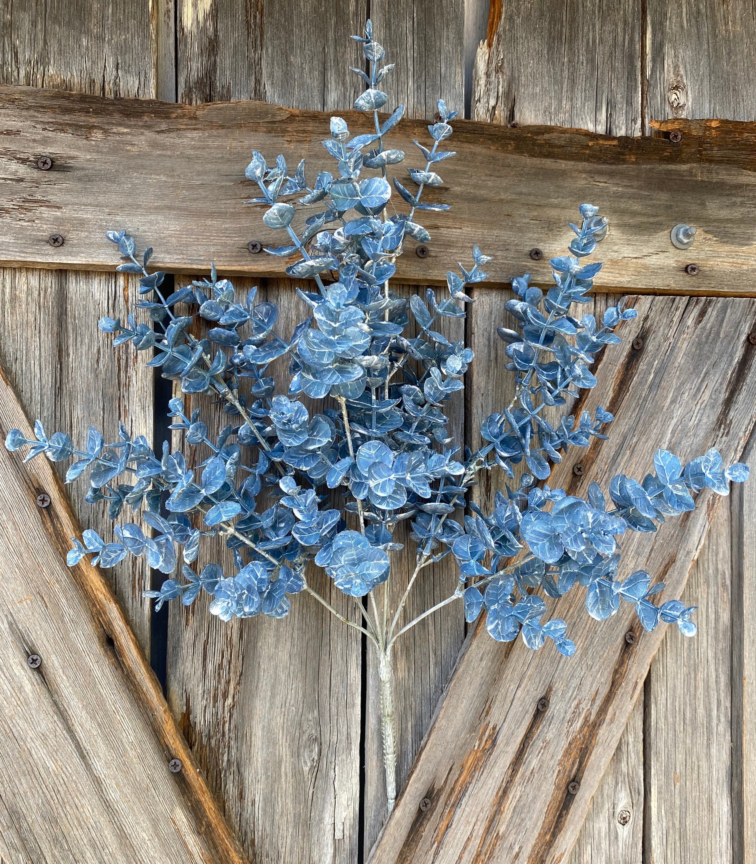 Blue Eucalyptus Bush