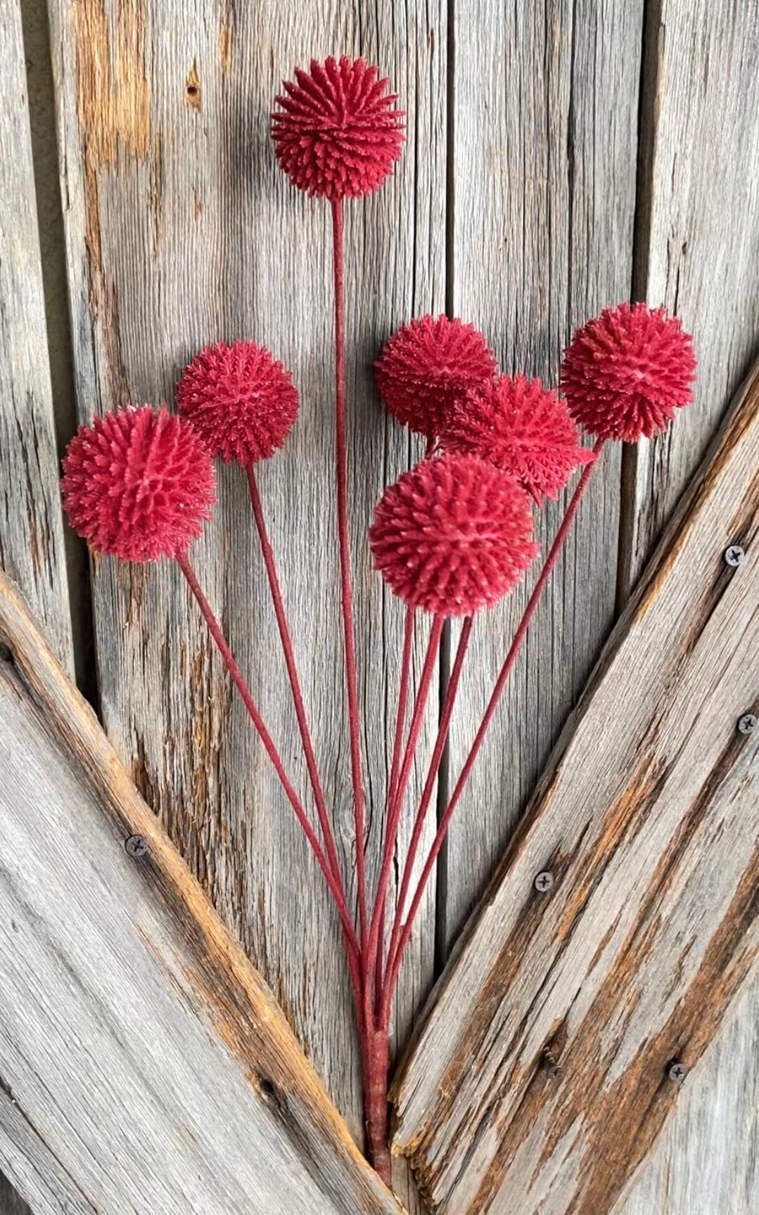 Burgundy Button Bush , Wreath Supply, Floral