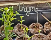 Starter Garden Plant Markers Garden Decor Office Desk Plants