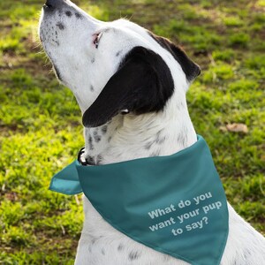 Custom Pet Bandana