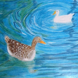 Duck Pond