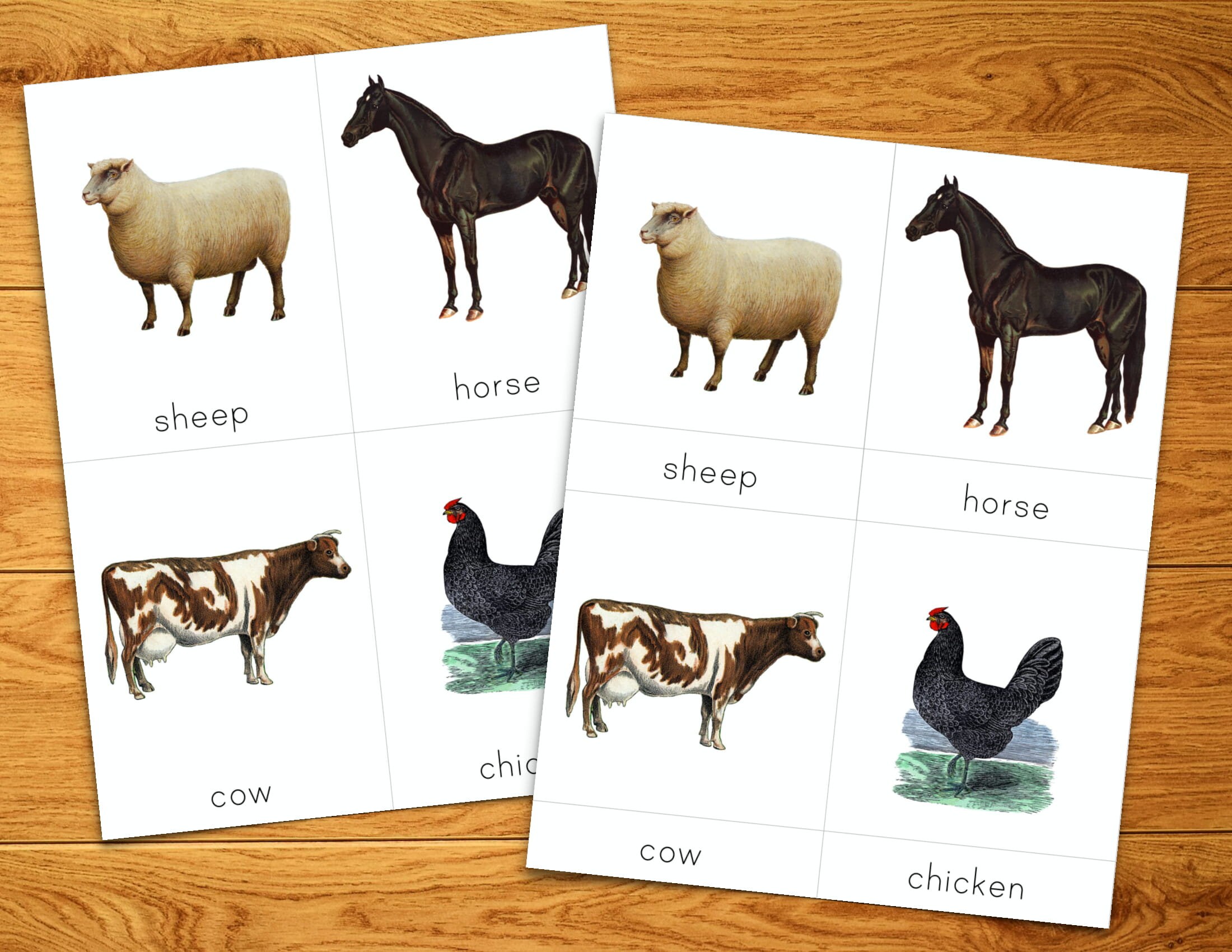 Three Part Cards FARM ANIMALS Series 8 Reading Cards for the - Etsy Australia Three Part Cards FARM ANIMALS Series 8 Reading Cards for the - Etsy Australia