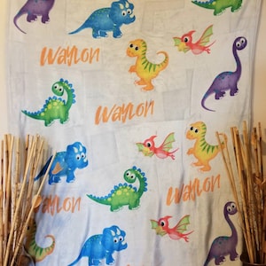 Colored Dinosaur Blanket