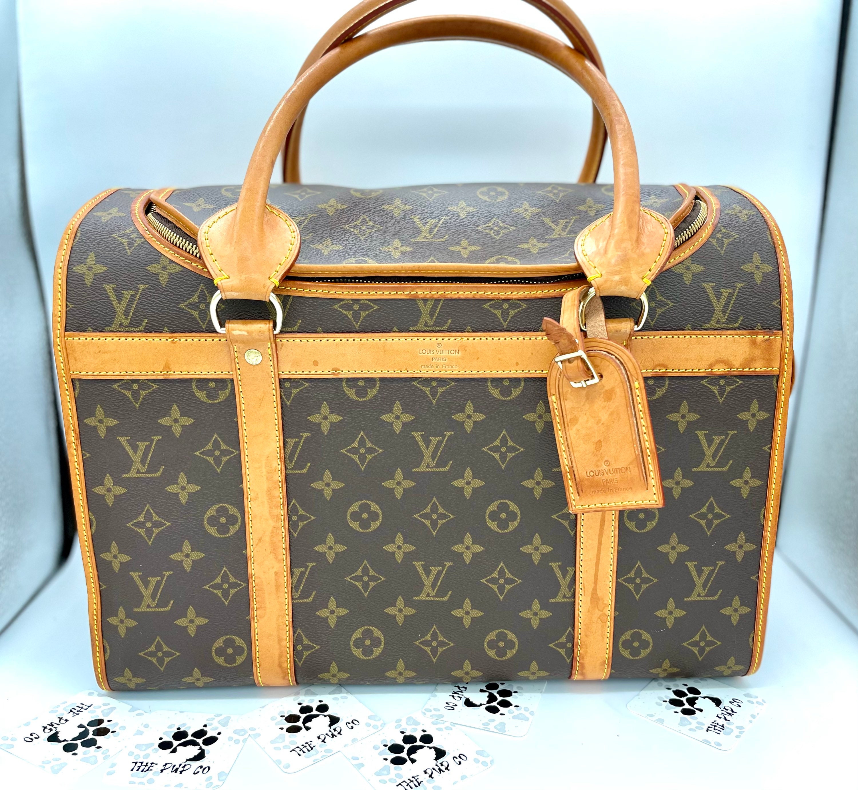 Dalla Hunziker alla Ferragni, chi ha il cane più fashionista? | Lookdavip.it