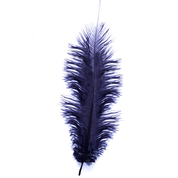 Ostrich Feathers - 10" - 12" / 25cm - 30cm - Choose Quantity  - Navy Blue