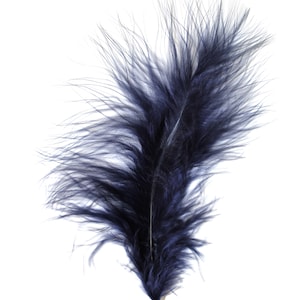 May include: A single dark blue feather with a long, thin shaft and soft, fluffy barbs. The feather is isolated against a white background.