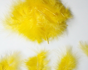 Mini Marabou Feathers 50 Per Pack - 3 - 8 cm - Yellow