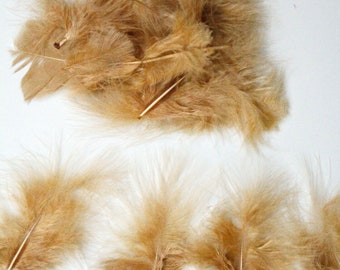 Mini Marabou Feathers 50 Per Pack - 3 - 8 cm - Gold