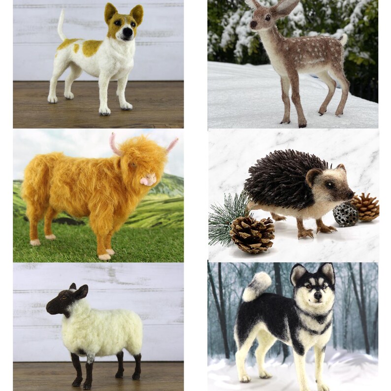 World of Wool Felting Kits 6 Designs to Choose From Etsy UK