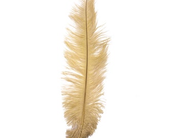 Ostrich Feathers - 10" - 12" / 25cm - 30cm - Choose Quantity  - Beige