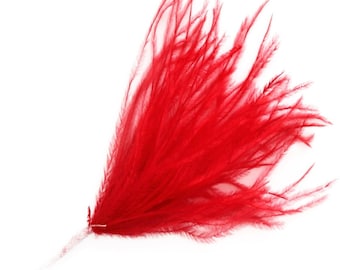 Wisps Ostrich Feathers - on a Wired Stem - Red
