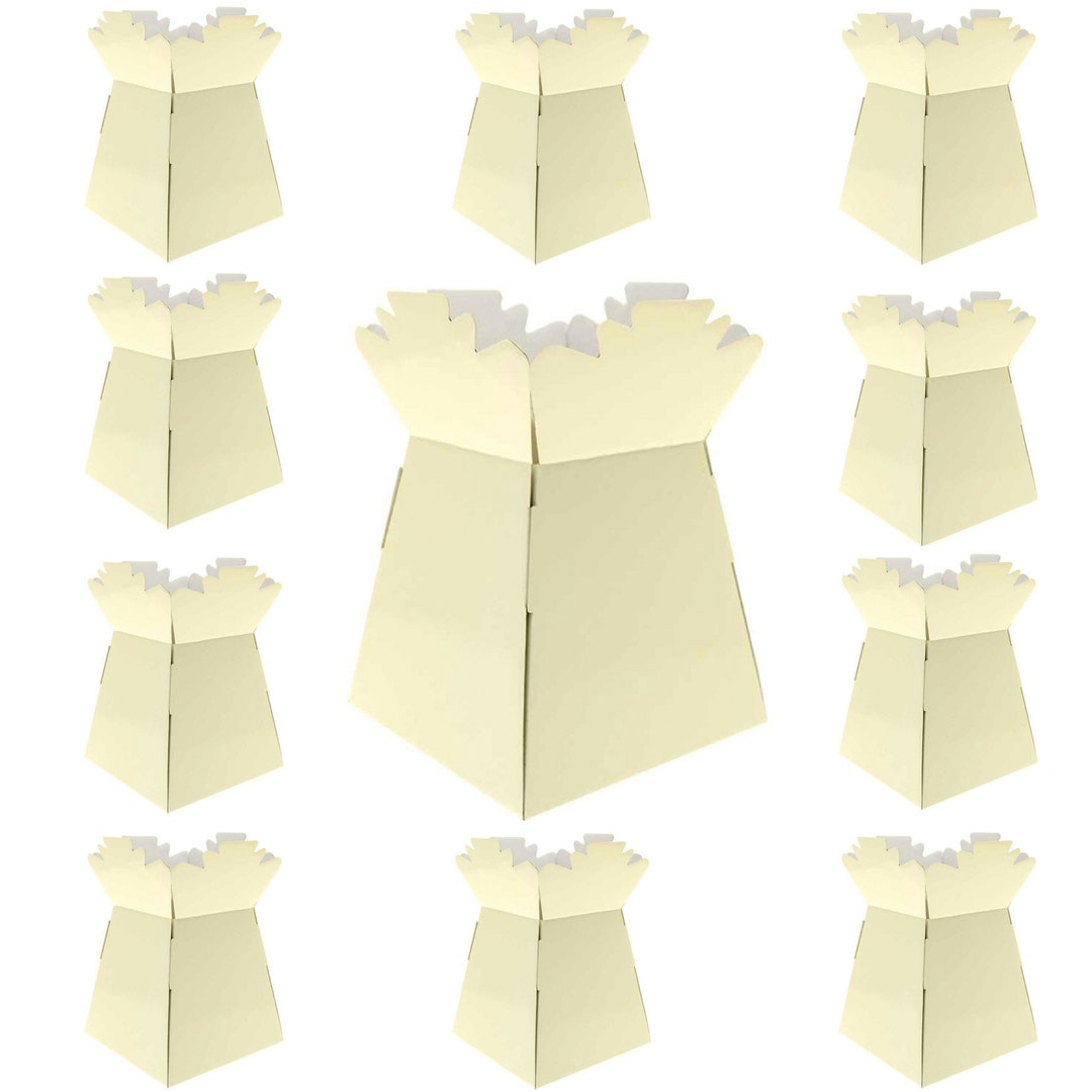Cream Living Vases Florist Bouquet Box Flower Sweet Boxes Etsy UK