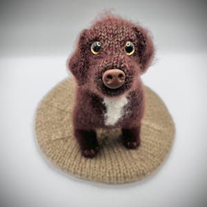 May include: A knitted brown dog with large eyes and a white chest patch, standing on a circular knitted base. The dog's fur is a deep brown. The craftwork creates a charming, whimsical aesthetic. The base is a tan colour.