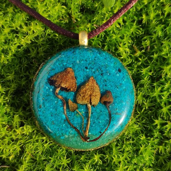 MAGIC MUSHROOMS on chrysocolla and amazonite, orgone pendant, gold 24k, 7und 5mm doubly terminated herkimer quartz crystals + reiki spiral