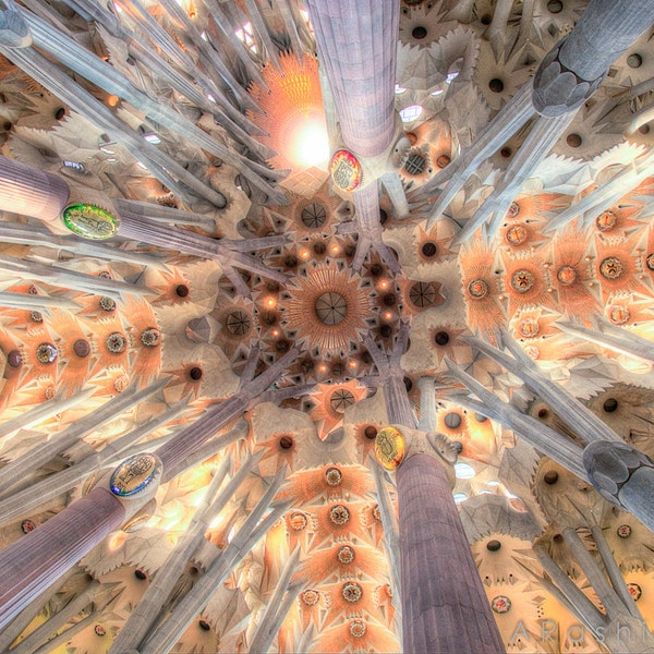 Sagrada Familia Ceiling Photography Print