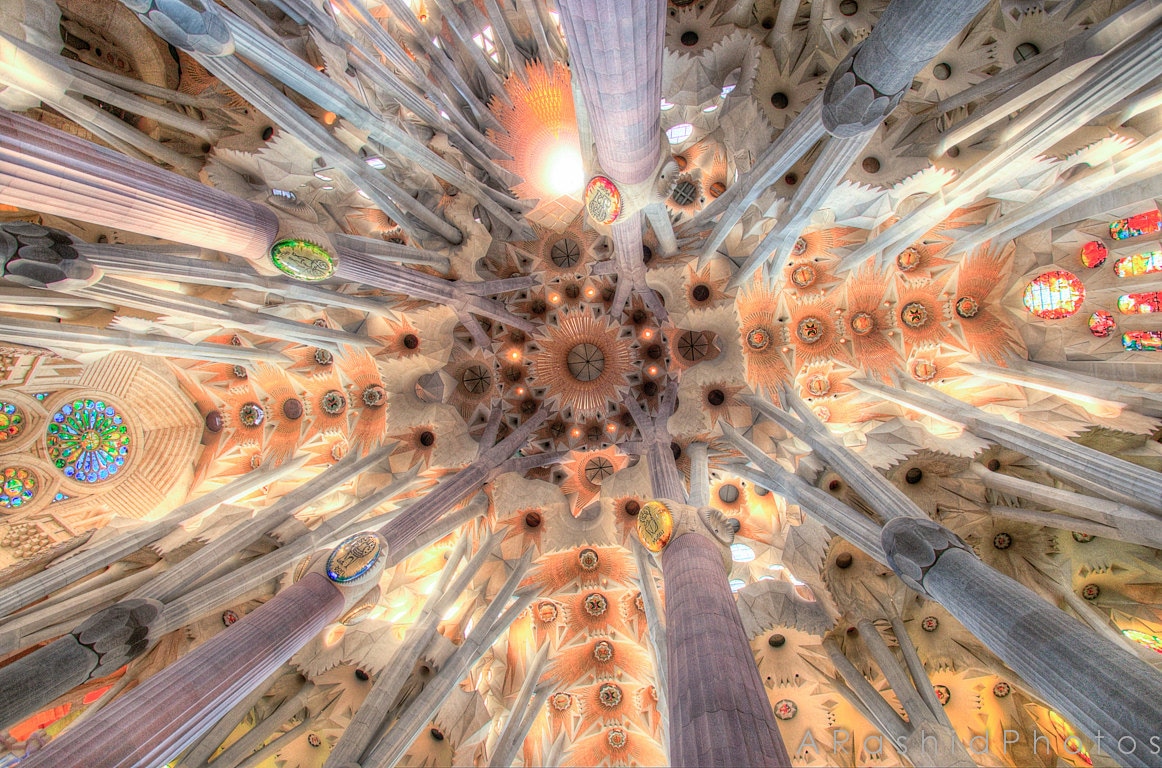 Sagrada Familia Interior Ceiling