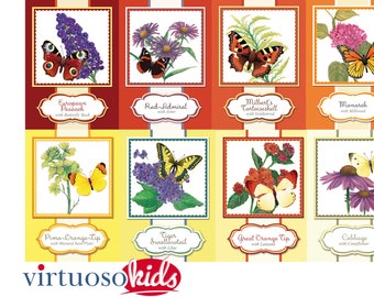 BUTTERFLY and FLOWERS Educational Butterfly Name and Nectar source Banner - you print