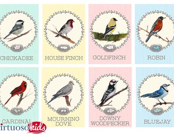 BIRD Printable Educational Bird Banner - for birthday parties or room decor - Pastel colors - you print