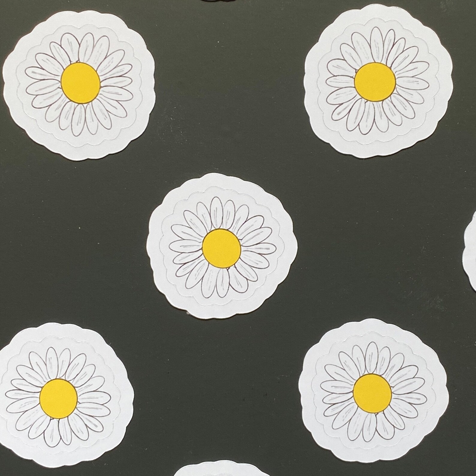 Chamomile Flower easy peel diecut standard glossy stickers Etsy