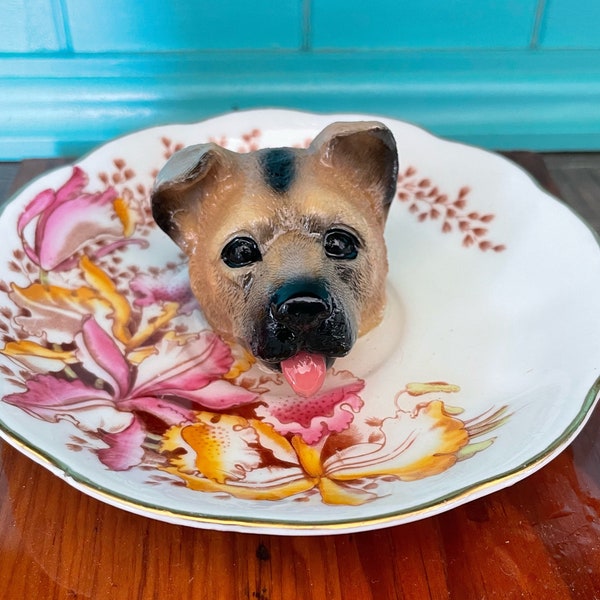 TeacupTaxidermy!! Unique and bizarre wall art - Dog - upcycled saucer, ceramics and barn wood. Marvellously weird repurposed art