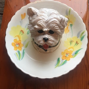 Könnte beinhalten: Eine weiße Keramikfigur eines Hundes mit schwarzen Augen und einer roten Zunge, die auf einer weißen Untertasse mit gelben und grünen Blumenmustern sitzt.