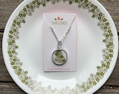 Artículos de esta tienda