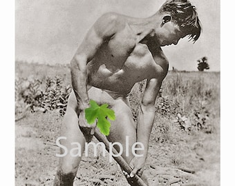 Vintage 1912 Photo Reprint of a Handsome Nude Farmer Working in a Field Gay Interest 59