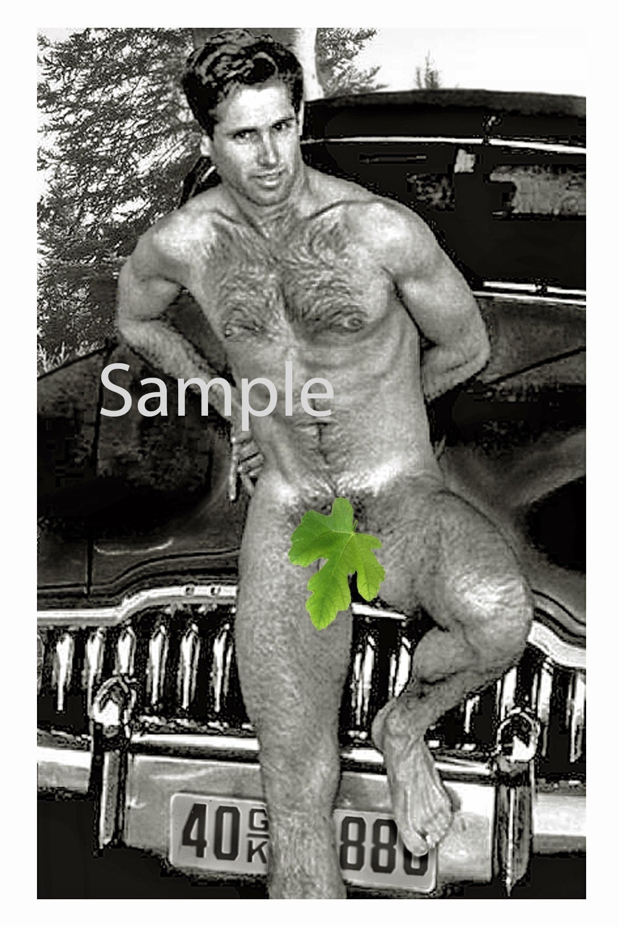 1950s Photo Reprint of a Hairy Muscular Man Posing by