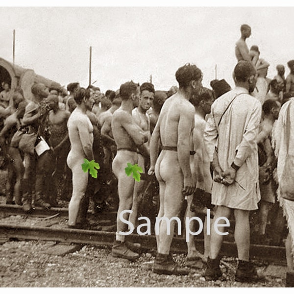 1940's Photo Reprint Nude Soldiers in North Africa WWII 29