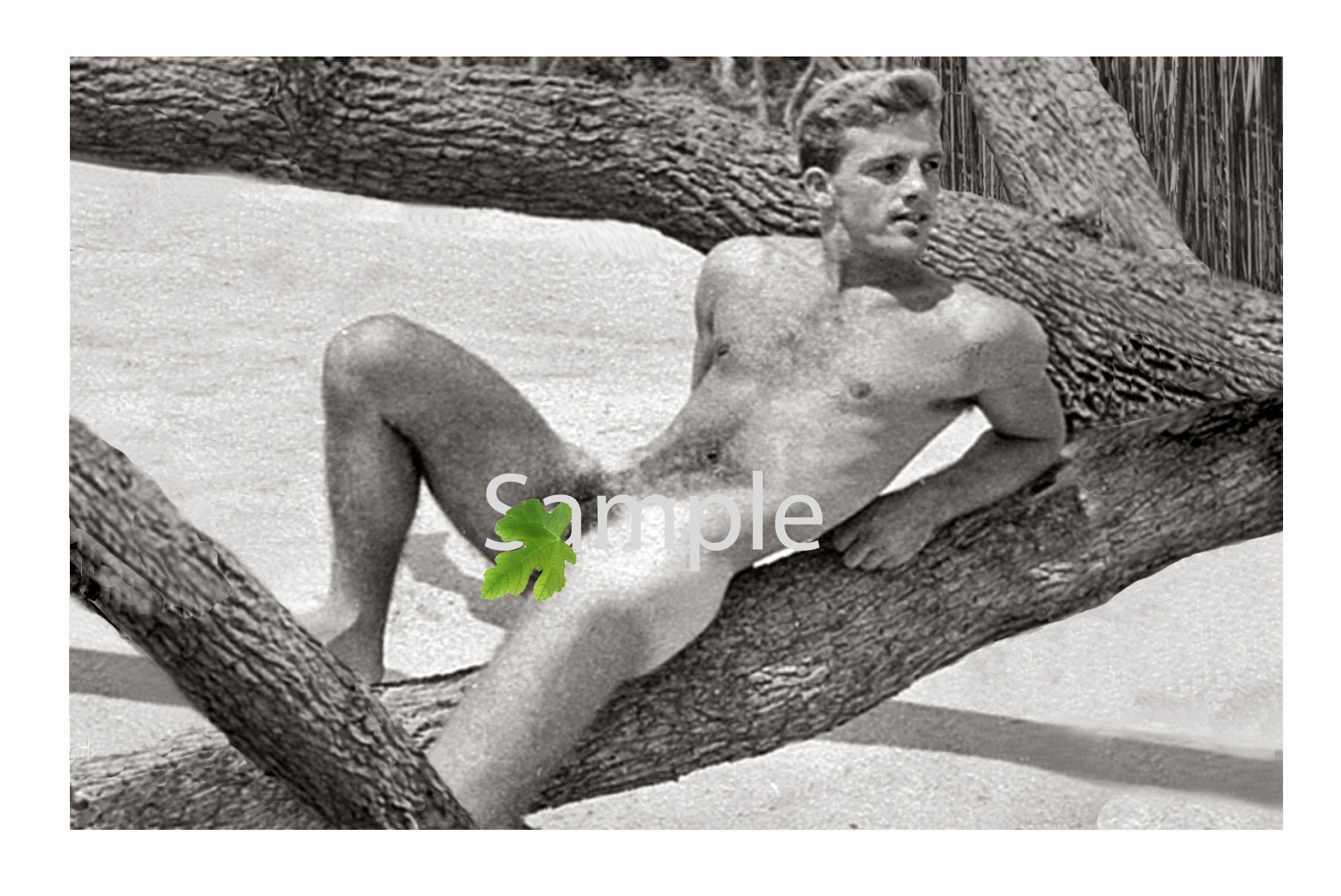 Vintage 1940s Photo Reprint of Nude Actor Guy Madison