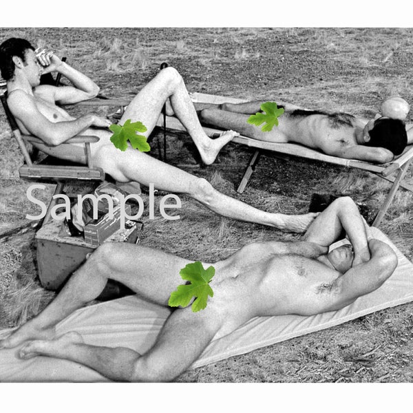 Vintage 1950's Photo Reprint of a Sexy Group of Nude Men Showing Off Their Hard Bodies at a Private Gay Picnic Gay Interest 63