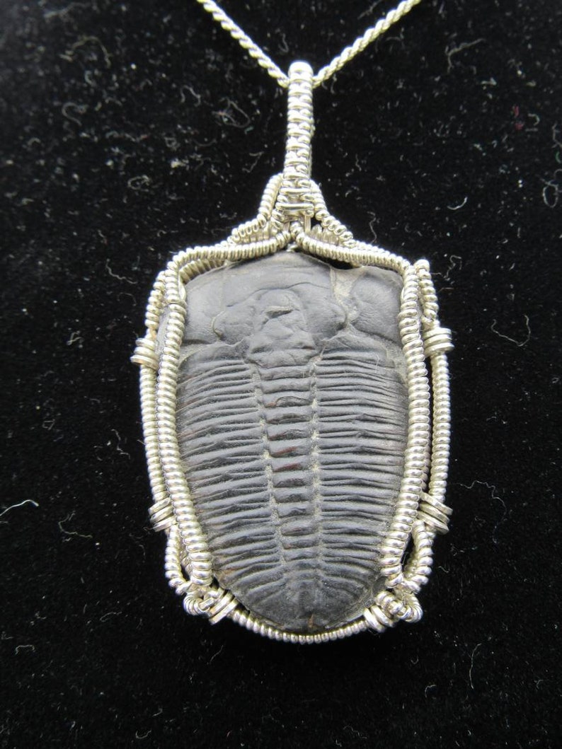 Trilobite Wire Wrap ~ .925 Sterling Silver Wire