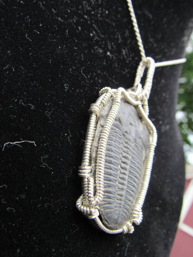 Trilobite Wire Wrap ~ .925 Sterling Silver Wire