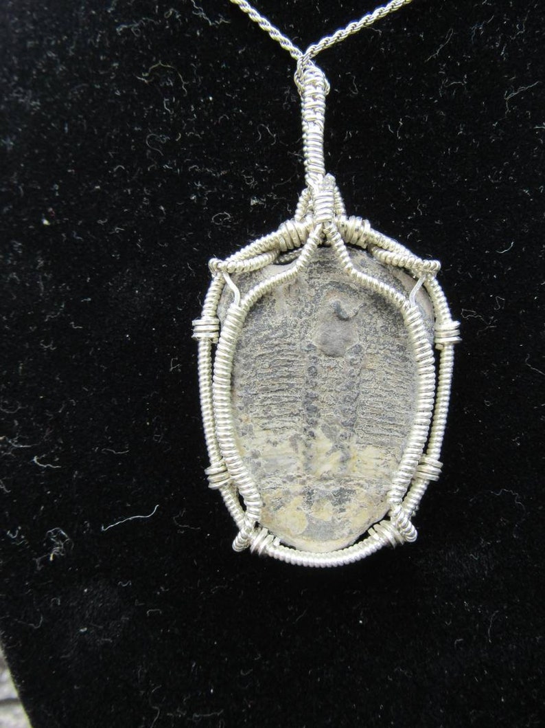 Trilobite Wire Wrap ~ .925 Sterling Silver Wire