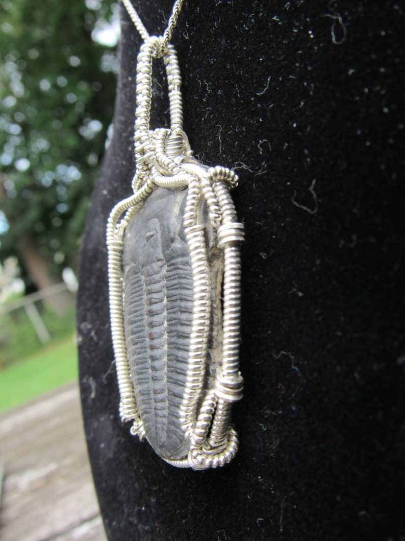 Trilobite Wire Wrap ~ .925 Sterling Silver Wire