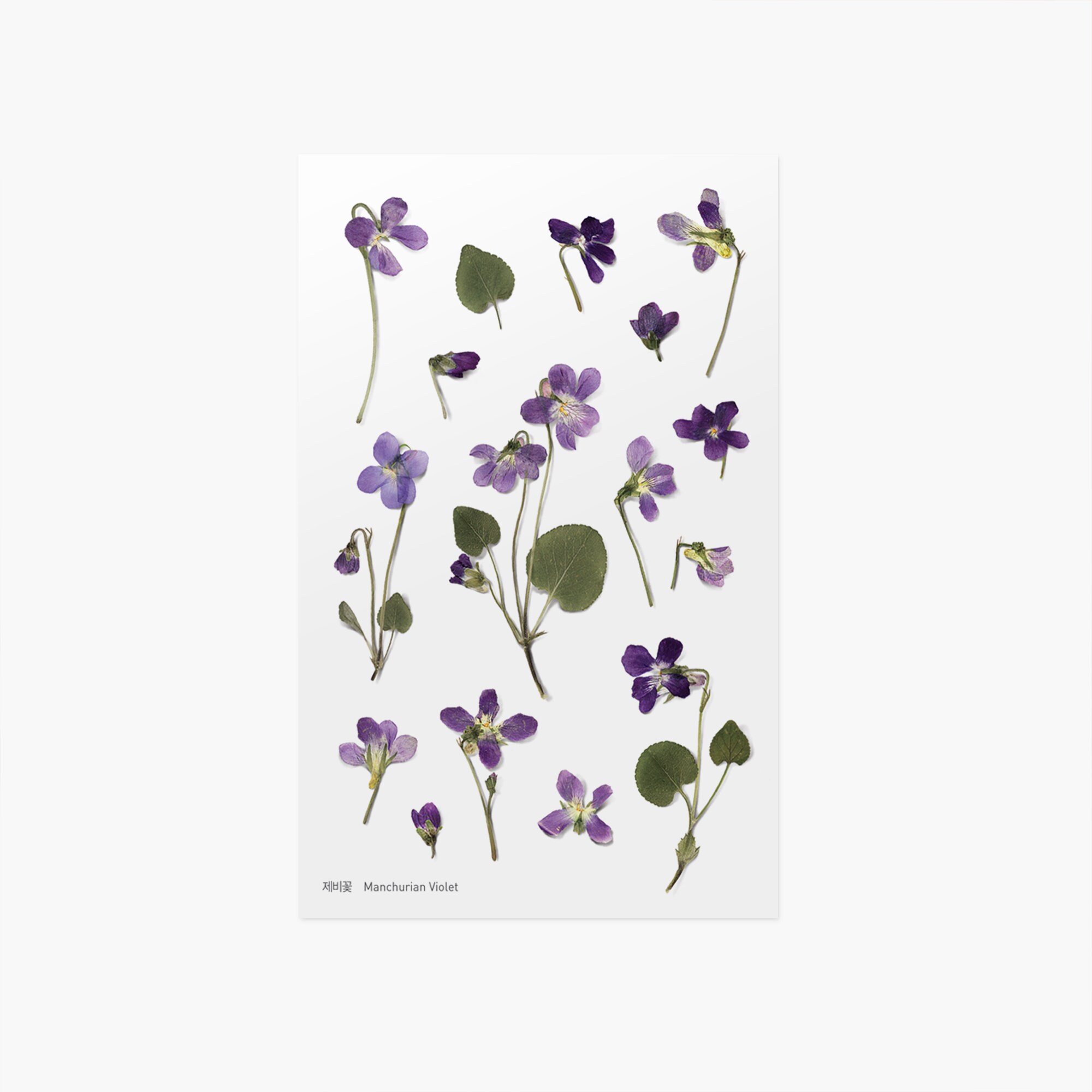 Deep Violet Purple Plum Flower Power Vinyl Sticker, Smiley Flower Stic –  Retrophiliac