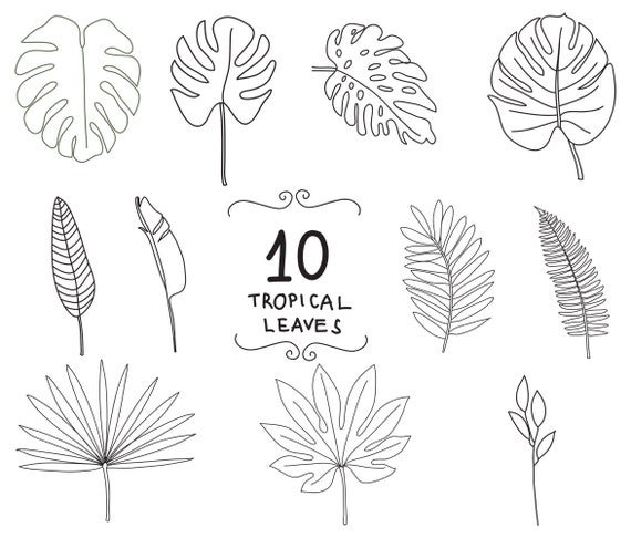 Download Tropical Leaves Svg And Png Doodles Jungle Leaf Svg Leaves Etsy