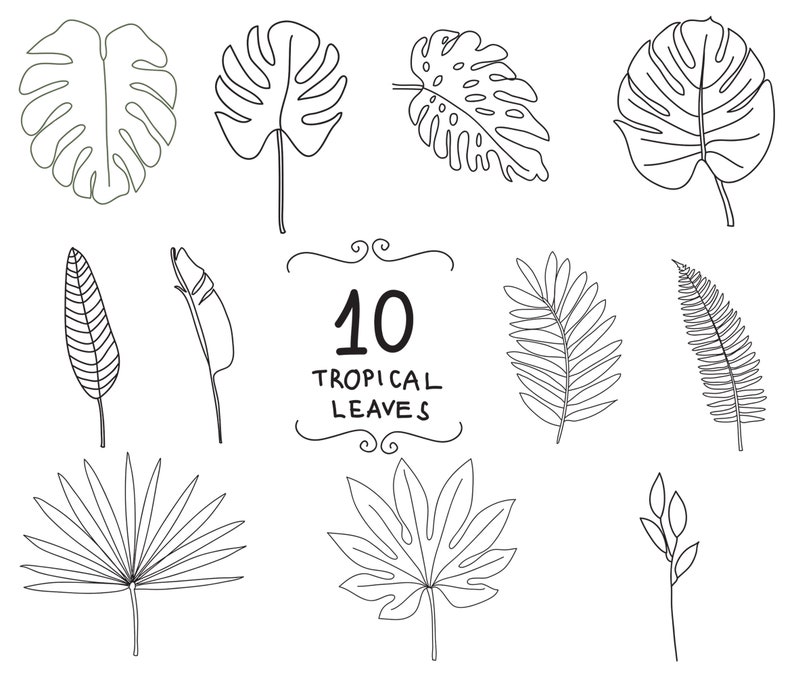 Download Clip Art Art Collectibles Tropical Leaves Svg And Png Doodles Jungle Leaf Svg Leaves Doodles