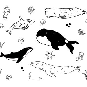 Peut inclure: Illustration en noir et blanc de cr&eacute;atures marines. L'image pr&eacute;sente des baleines, un hippocampe et des m&eacute;duses, ainsi que des algues et des coquillages. Le style est simple, avec plusieurs esp&egrave;ces de baleines et d'autres cr&eacute;atures marines.