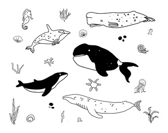 Whales svg - whales clipart - ocean life png - sea life svg - whales png - jellyfish svg - whales hand drawn doodles