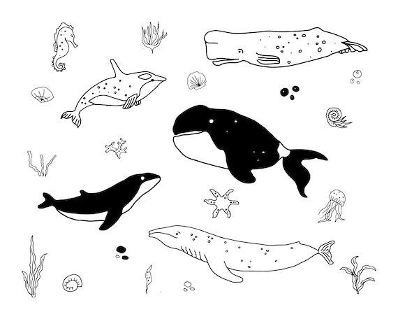 Whales svg - whales clipart - ocean life png - sea life svg - whales png - jellyfish svg - whales hand drawn doodles
