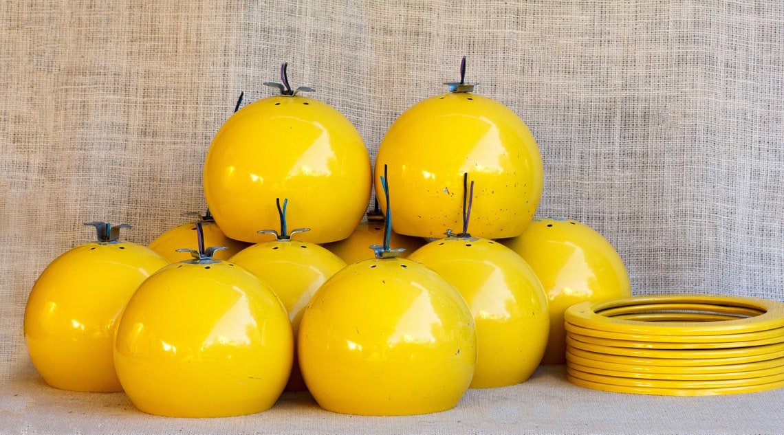 Pendant Light Elegant Mid Century Modern Pendant Lamp | Etsy