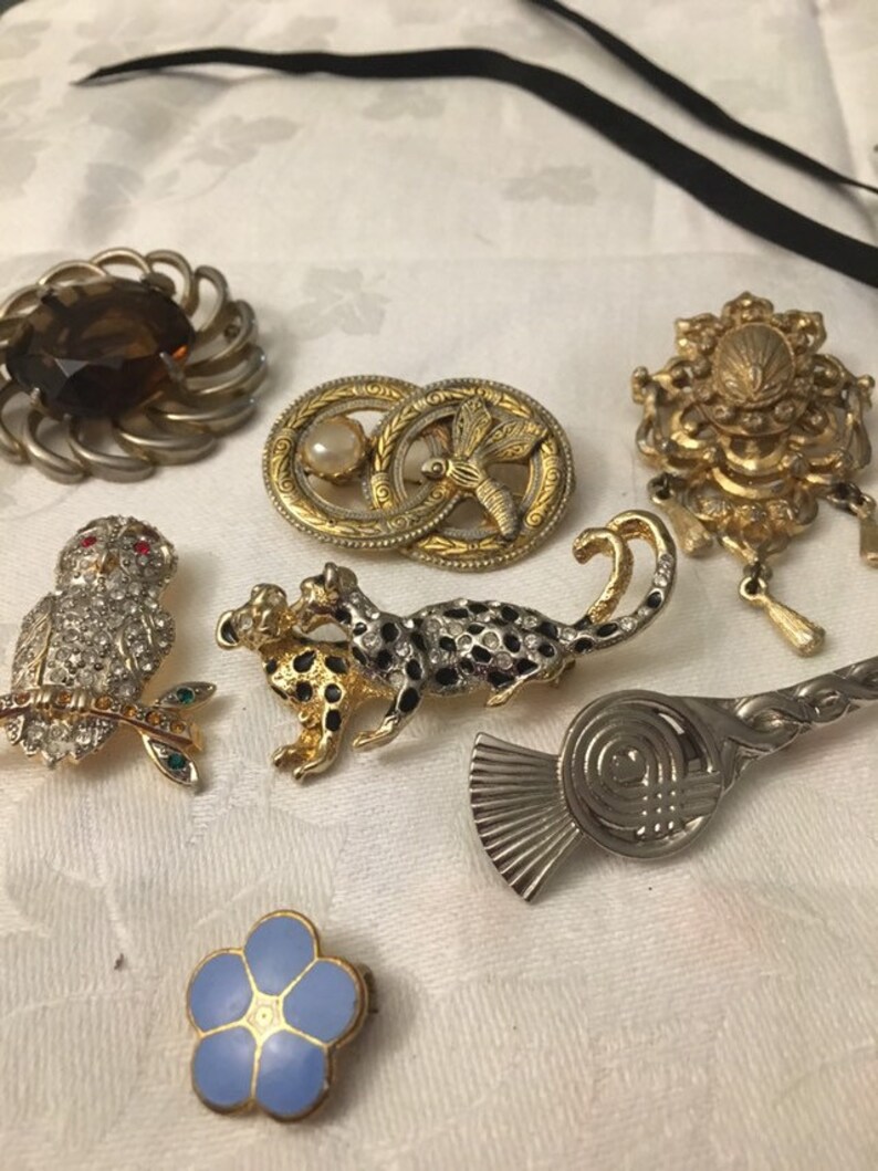 A Set of Unusual Brooches Etsy