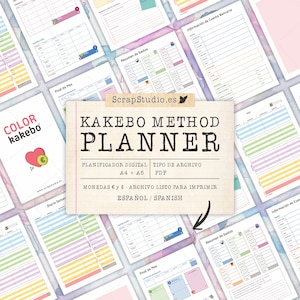 Kakebo Planner Method Organise Your Dreams and Save with Purpose usd & eur currencies SPANISH image 1